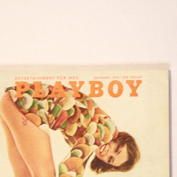 Vintage Art Playboy Memorabilia Home Decor Supermodel 70's - Picture 2 of 5